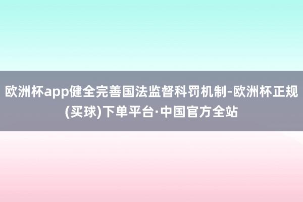 欧洲杯app健全完善国法监督科罚机制-欧洲杯正规(买球)下单平台·中国官方全站