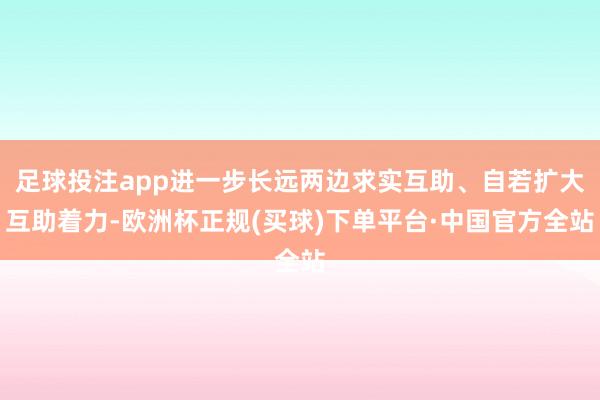 足球投注app进一步长远两边求实互助、自若扩大互助着力-欧洲杯正规(买球)下单平台·中国官方全站
