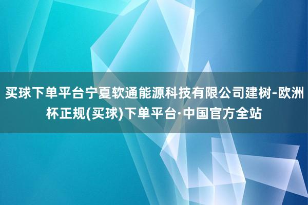 买球下单平台宁夏软通能源科技有限公司建树-欧洲杯正规(买球)下单平台·中国官方全站