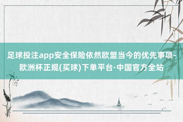 足球投注app安全保险依然欧盟当今的优先事项-欧洲杯正规(买球)下单平台·中国官方全站