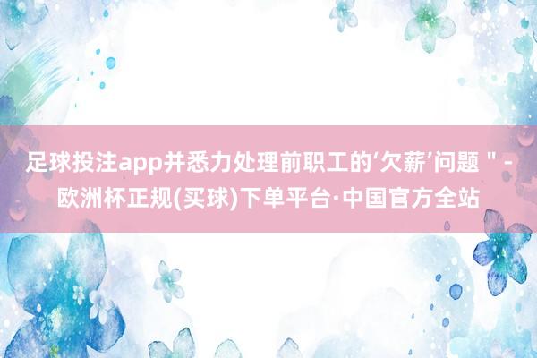 足球投注app并悉力处理前职工的‘欠薪’问题＂-欧洲杯正规(买球)下单平台·中国官方全站