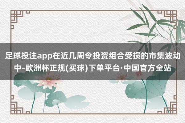 足球投注app在近几周令投资组合受损的市集波动中-欧洲杯正规(买球)下单平台·中国官方全站
