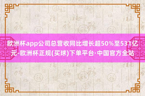 欧洲杯app公司总营收同比增长超50%至531亿元-欧洲杯正规(买球)下单平台·中国官方全站