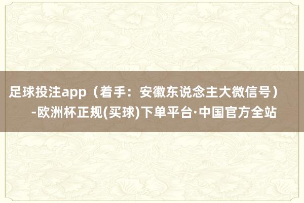 足球投注app（着手：安徽东说念主大微信号）    -欧洲杯正规(买球)下单平台·中国官方全站