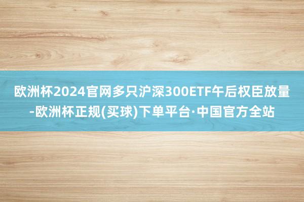 欧洲杯2024官网多只沪深300ETF午后权臣放量-欧洲杯正规(买球)下单平台·中国官方全站