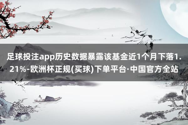 足球投注app历史数据暴露该基金近1个月下落1.21%-欧洲杯正规(买球)下单平台·中国官方全站