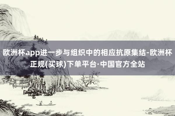 欧洲杯app进一步与组织中的相应抗原集结-欧洲杯正规(买球)下单平台·中国官方全站