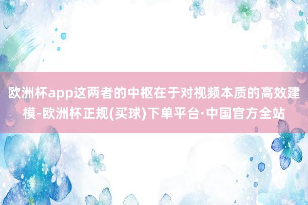 欧洲杯app这两者的中枢在于对视频本质的高效建模-欧洲杯正规(买球)下单平台·中国官方全站