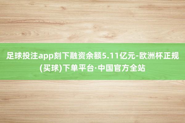 足球投注app刻下融资余额5.11亿元-欧洲杯正规(买球)下单平台·中国官方全站