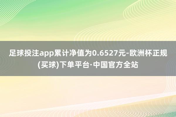 足球投注app累计净值为0.6527元-欧洲杯正规(买球)下单平台·中国官方全站