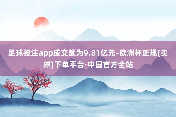 足球投注app成交额为9.81亿元-欧洲杯正规(买球)下单平台·中国官方全站