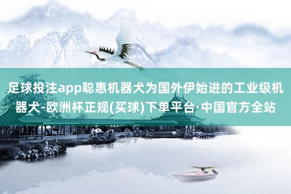 足球投注app聪惠机器犬为国外伊始进的工业级机器犬-欧洲杯正规(买球)下单平台·中国官方全站