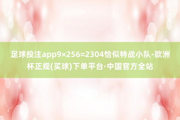 足球投注app9×256=2304恰似特战小队-欧洲杯正规(买球)下单平台·中国官方全站