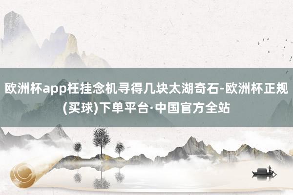 欧洲杯app枉挂念机寻得几块太湖奇石-欧洲杯正规(买球)下单平台·中国官方全站