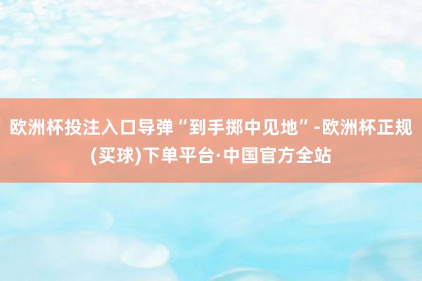 欧洲杯投注入口导弹“到手掷中见地”-欧洲杯正规(买球)下单平台·中国官方全站
