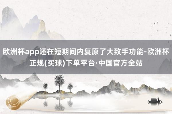 欧洲杯app还在短期间内复原了大致手功能-欧洲杯正规(买球)下单平台·中国官方全站