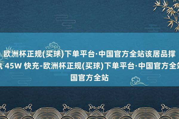 欧洲杯正规(买球)下单平台·中国官方全站该居品撑执 45W 快充-欧洲杯正规(买球)下单平台·中国官方全站