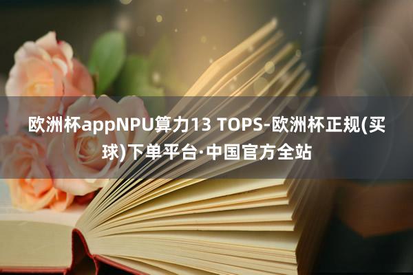 欧洲杯appNPU算力13 TOPS-欧洲杯正规(买球)下单平台·中国官方全站