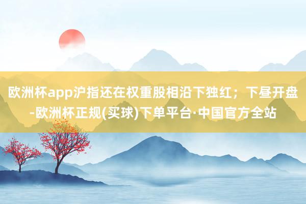 欧洲杯app沪指还在权重股相沿下独红；下昼开盘-欧洲杯正规(买球)下单平台·中国官方全站
