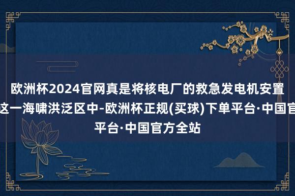 欧洲杯2024官网真是将核电厂的救急发电机安置在福岛这一海啸洪泛区中-欧洲杯正规(买球)下单平台·中国官方全站