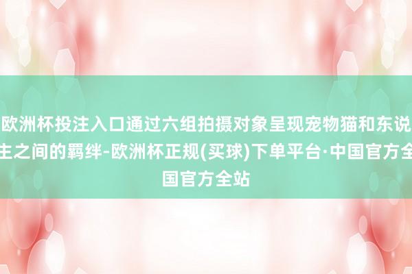欧洲杯投注入口通过六组拍摄对象呈现宠物猫和东说念主之间的羁绊-欧洲杯正规(买球)下单平台·中国官方全站