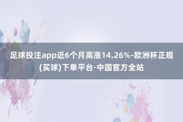 足球投注app近6个月高涨14.26%-欧洲杯正规(买球)下单平台·中国官方全站
