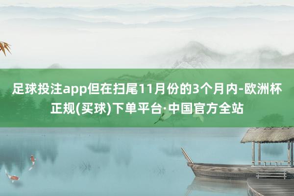 足球投注app但在扫尾11月份的3个月内-欧洲杯正规(买球)下单平台·中国官方全站