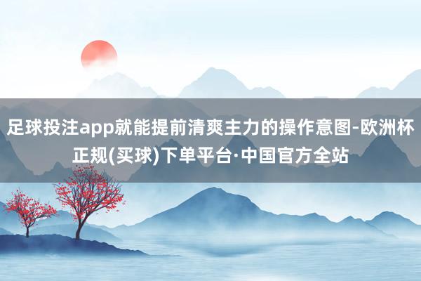 足球投注app就能提前清爽主力的操作意图-欧洲杯正规(买球)下单平台·中国官方全站